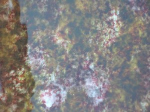 FOLIA CRISTAL/MARMUREK KOLOROWY