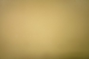 POLIGUMA SVIG EXPORT 1,8mm/BEŻ MIODOWY 740x320