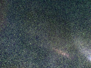 tkaniny syntetyczne LAKIER TRIMETAL/zielony